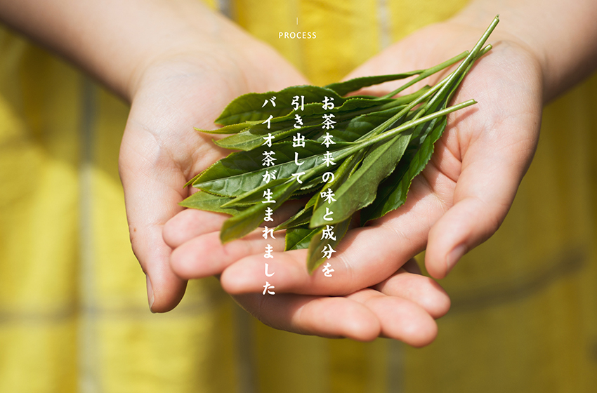 お茶本来の味と成分を引き出してバイオ茶が生まれました