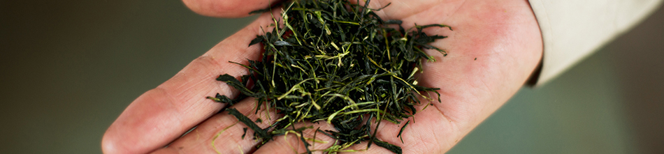 バイオ茶について