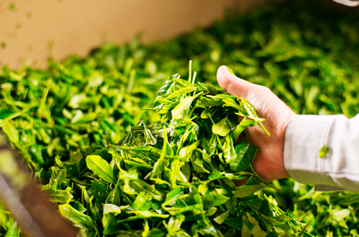 The way Bio Tea is made.