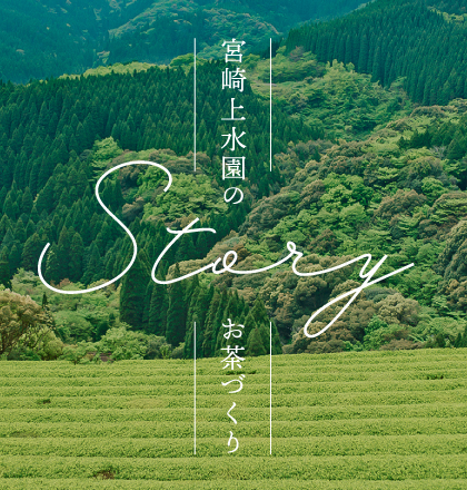 everydayシリーズ-ホームページへ