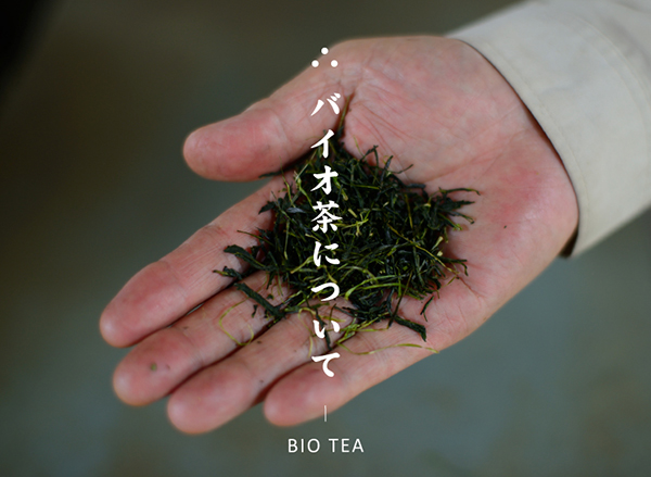 バイオ茶について