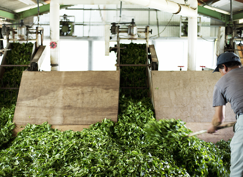 会社・店舗案内