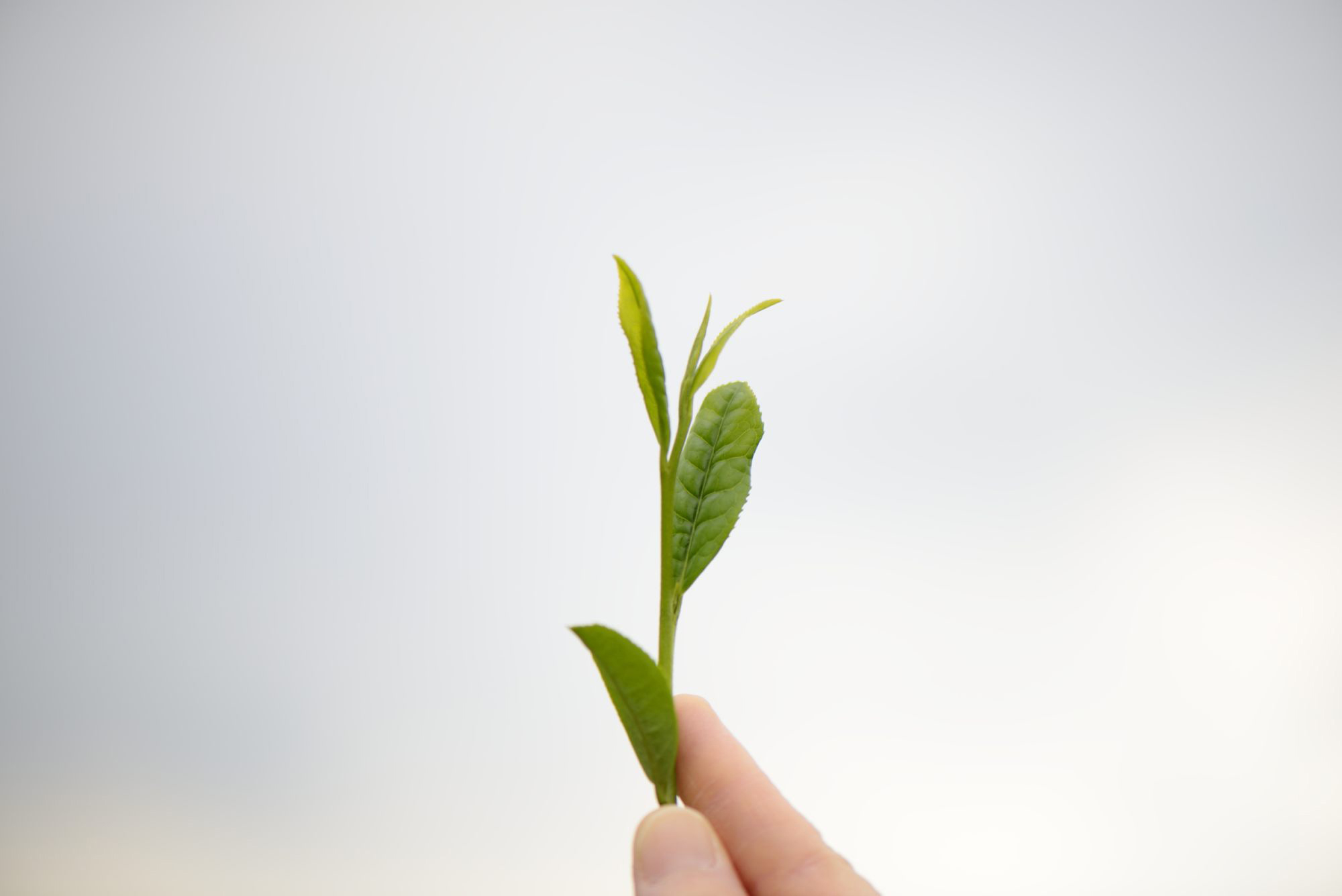 宮崎日日新聞朝刊「窓」面の自分史シリーズ