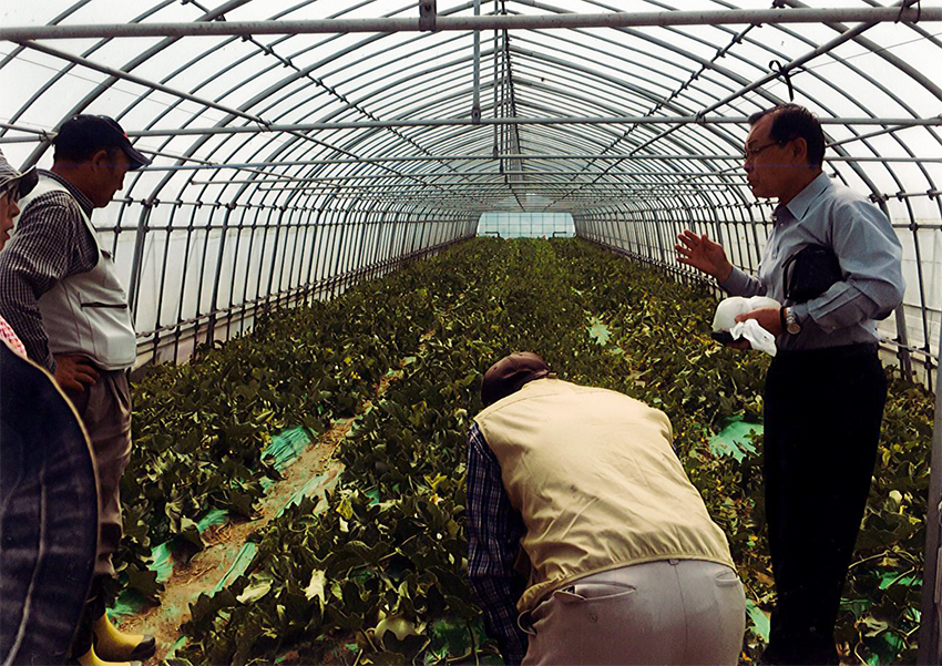 相野釜ハウス園芸組合